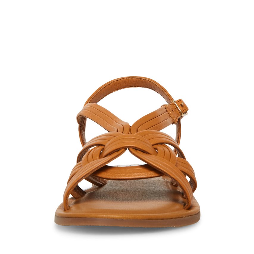 Brown Steve Madden Prim Women's Flat Sandals | PH 4079DBE